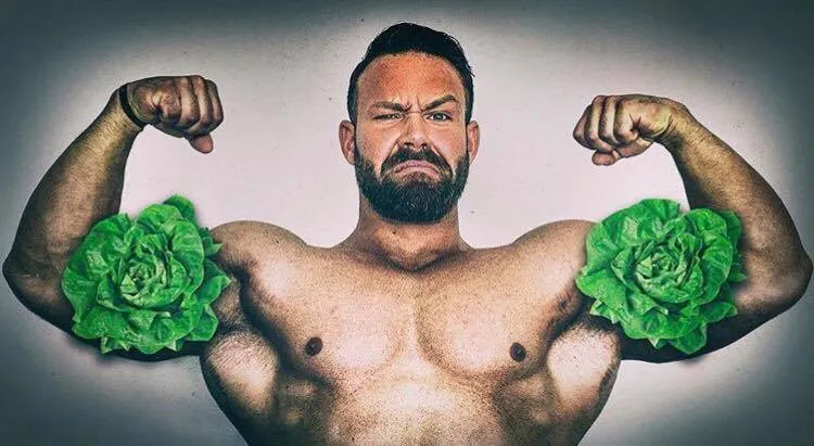 Beitragsbild zum Artikel: VON SALAT SCHRUMPFT DER BIZEPS?! – The Classic Body