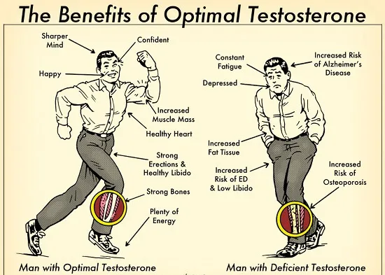 Beitragsbild zum Artikel: DER Ratgeber für Testosteron Booster