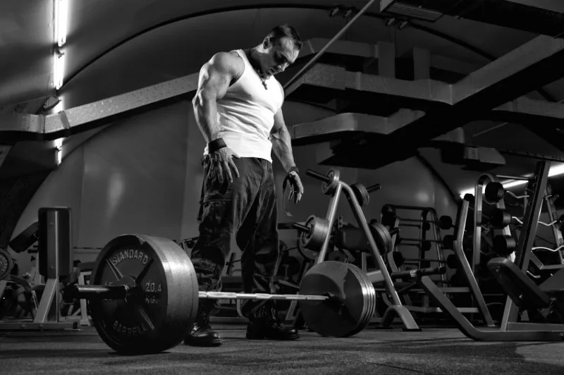 Beitragsbild zum Artikel: Warum Trainingsprogramme von „Experten“ NICHT die besten sind!