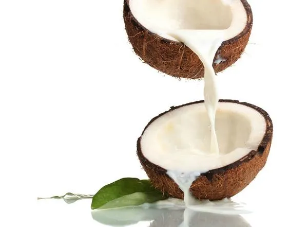 Beitragsbild zum Artikel: alle reden nur von KOKOSÖL – wie GESUND ist KOKOSNUSSMILCH?