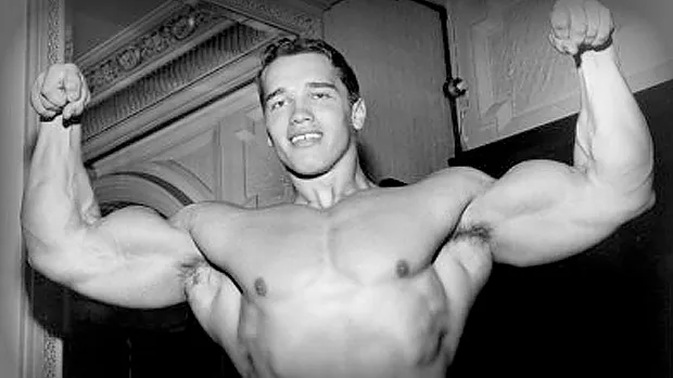 Beitragsbild zum Artikel: Trainiere mit Arnold Schwarzeneggers „Golden Six“