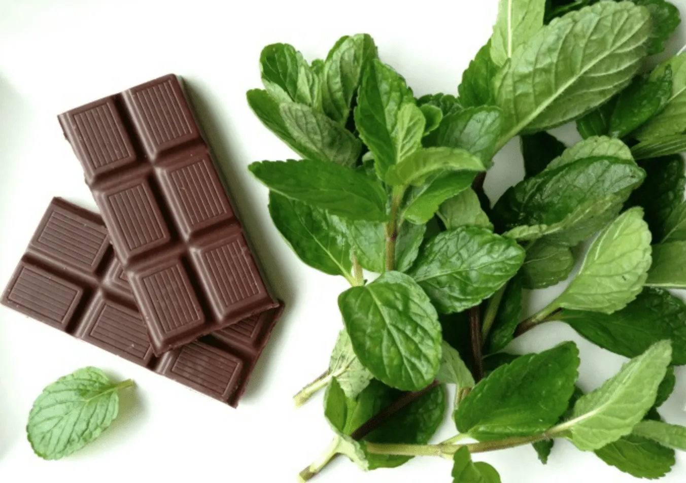 Beitragsbild zum Artikel: Hättest Du es gewusst? – SO GESUND ist Minze!