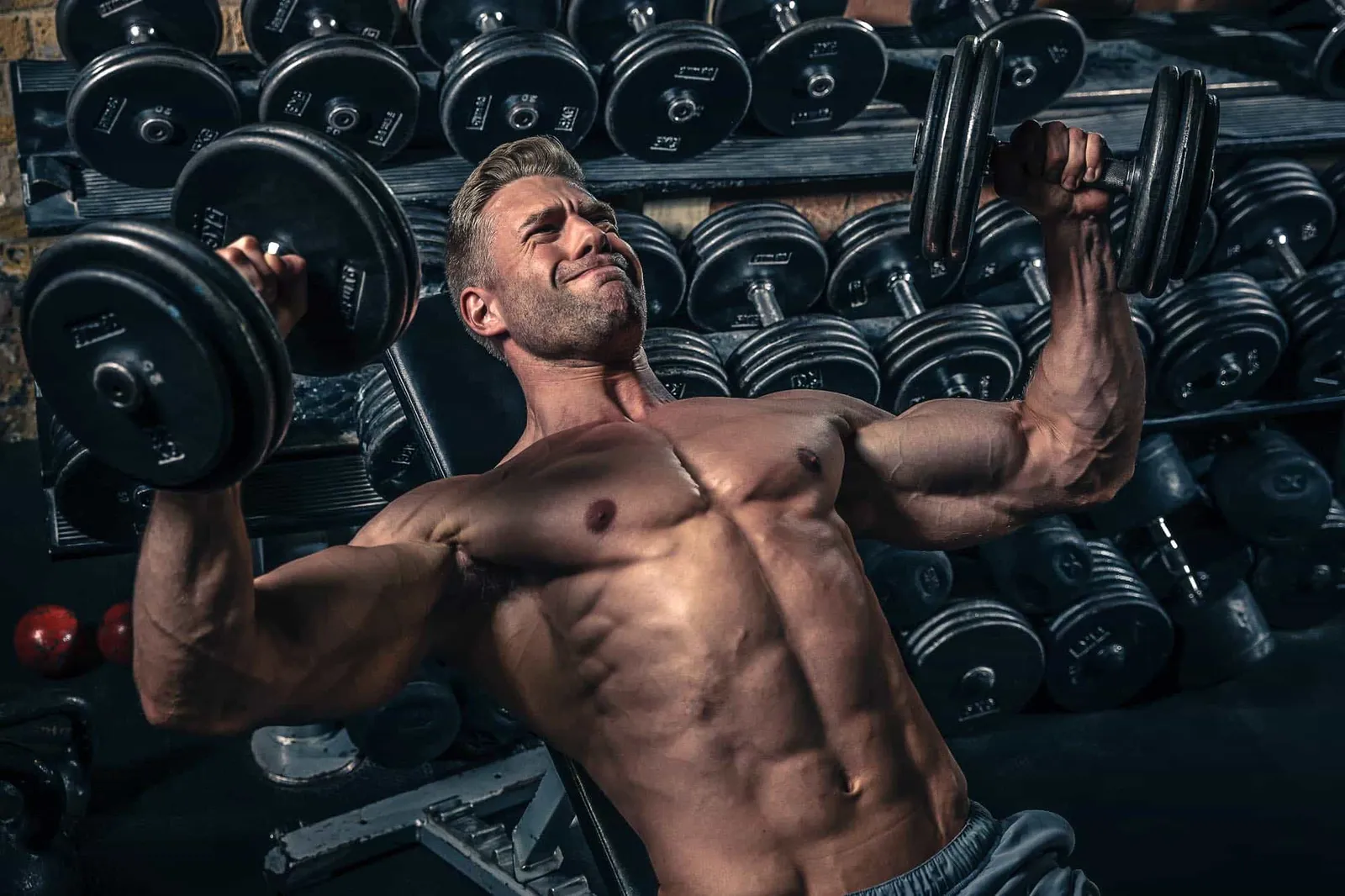 Beitragsbild zum Artikel: die WAHRHEIT über TRAININGSFREQUENZ und MUSKELKATER!!