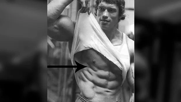 Beitragsbild zum Artikel: Die perfekte Übung für den seitlichen Sixpack