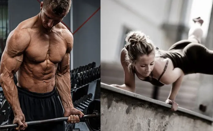 Beitragsbild zum Artikel: MUSKELAUFBAU für Fortgeschrittene: mit DIESEM Trainingsplan wieder MEHR GAINS!