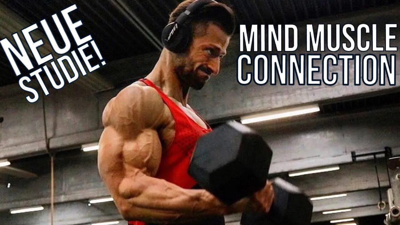 Beitragsbild zum Artikel: NEUE STUDIE: Mind Muscle Connection doch der ENTSCHEIDENDE Faktor für den MUSKELAUFBAU?