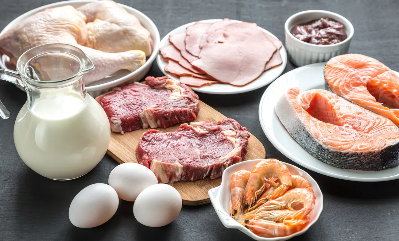 Beitragsbild zum Artikel: Proteinreiche Diäten helfen dabei, nachts mehr Kalorien zu verbrennen