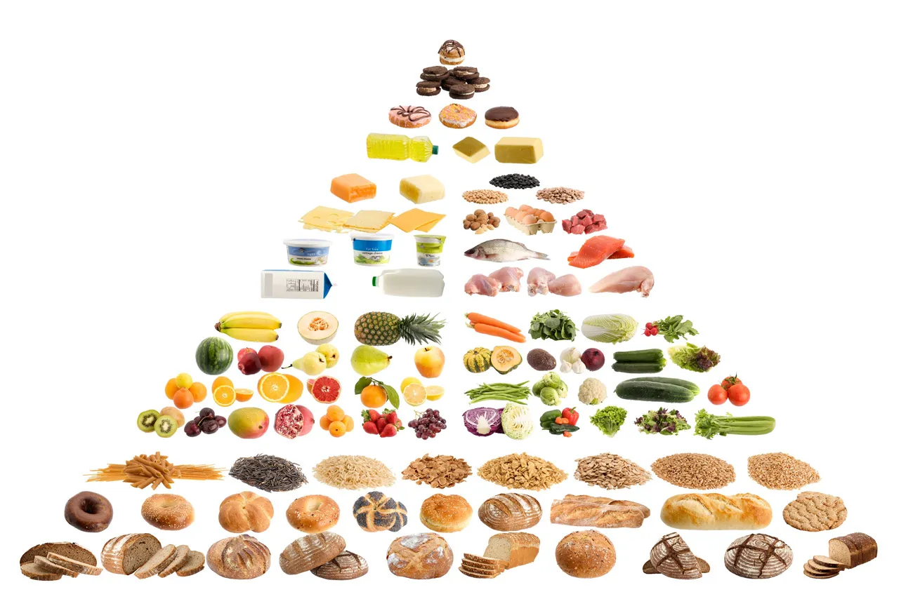Beitragsbild zum Artikel: Fördert die Ernährungspyramide Fettleibigkeit?