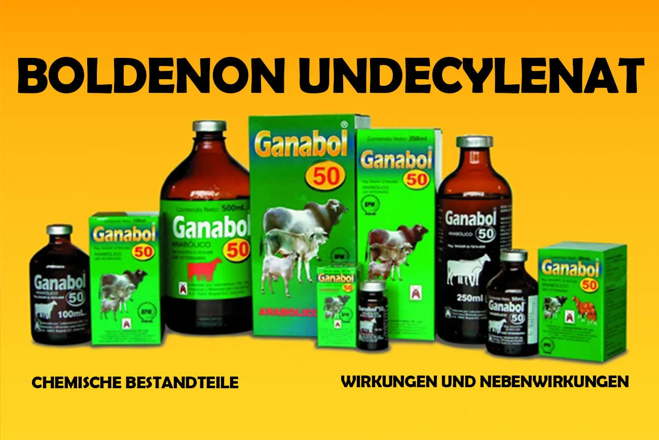 Beitragsbild zum Artikel: Boldenon Undecylenat: Wirkung, Risiken und Rechtslage im Überblick