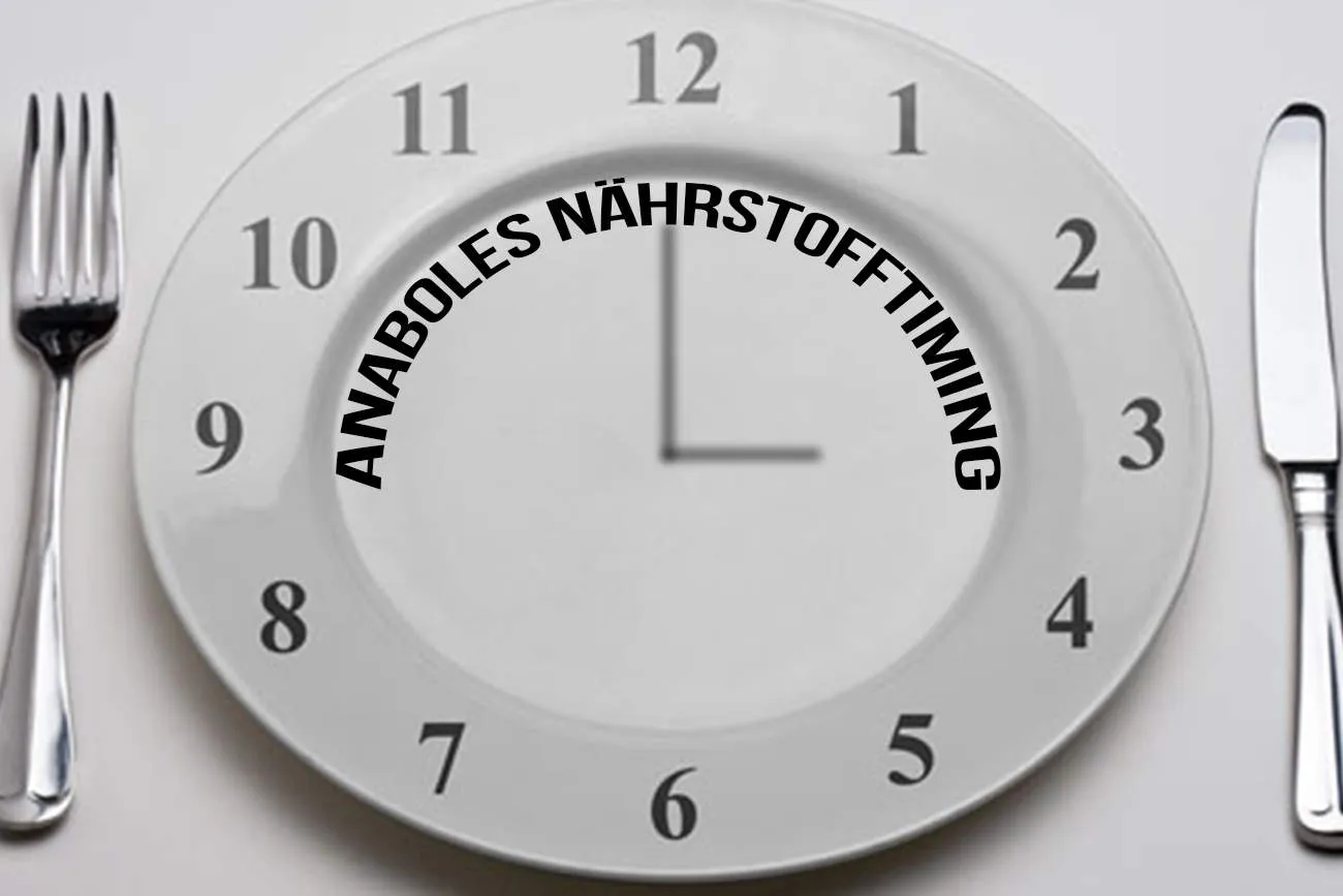 Beitragsbild zum Artikel: Anaboles Nährstofftiming