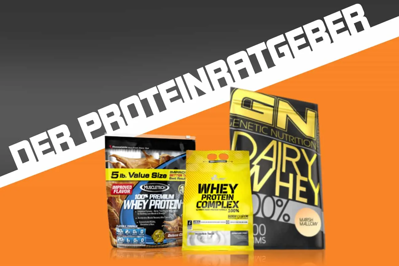 Beitragsbild zum Artikel: Der Protein Ratgeber