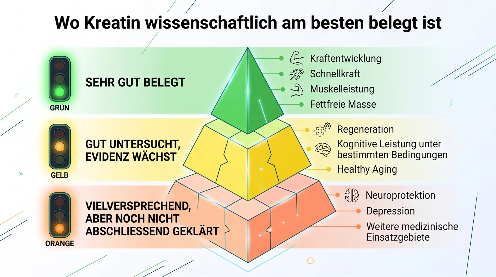 Abbildung 8 zum Artikel: Kreatin erklärt: Wirkung, Einnahme, Muskelaufbau und wissenschaftliche Fakten