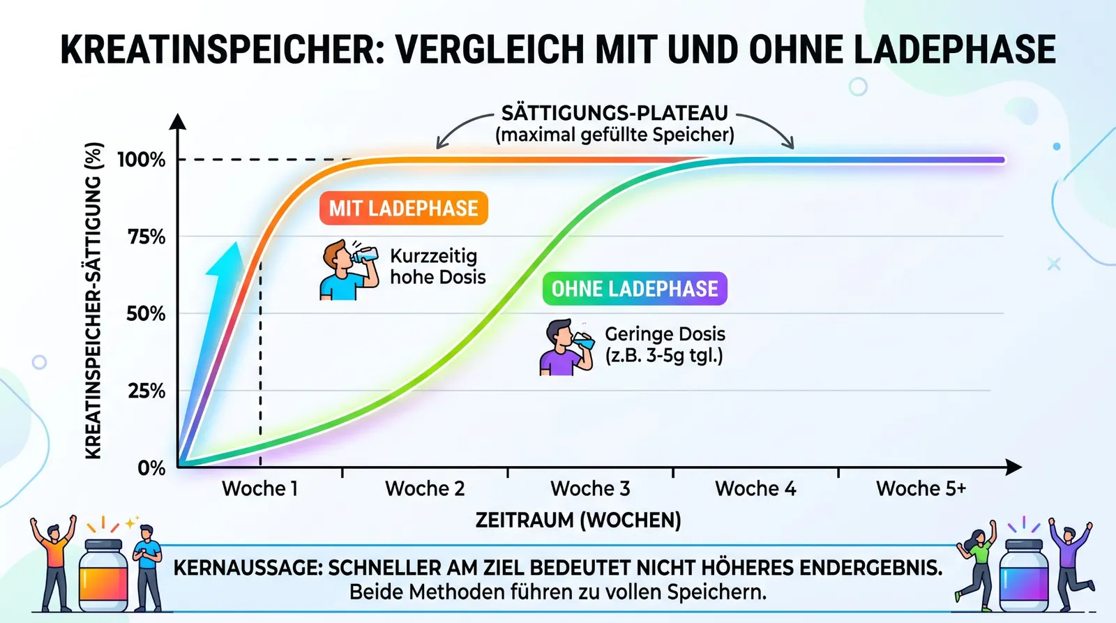 Abbildung 2 zum Artikel: Kreatin-Ladephase: Notwendig oder überflüssig?