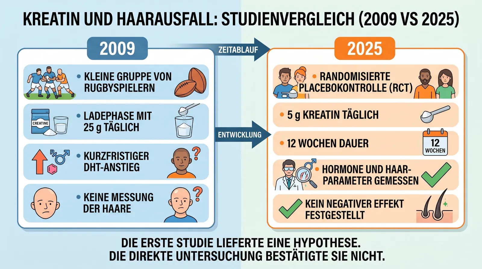 Abbildung 4 zum Artikel: Kreatin und Haarausfall: Verursacht Kreatin wirklich Haarverlust?