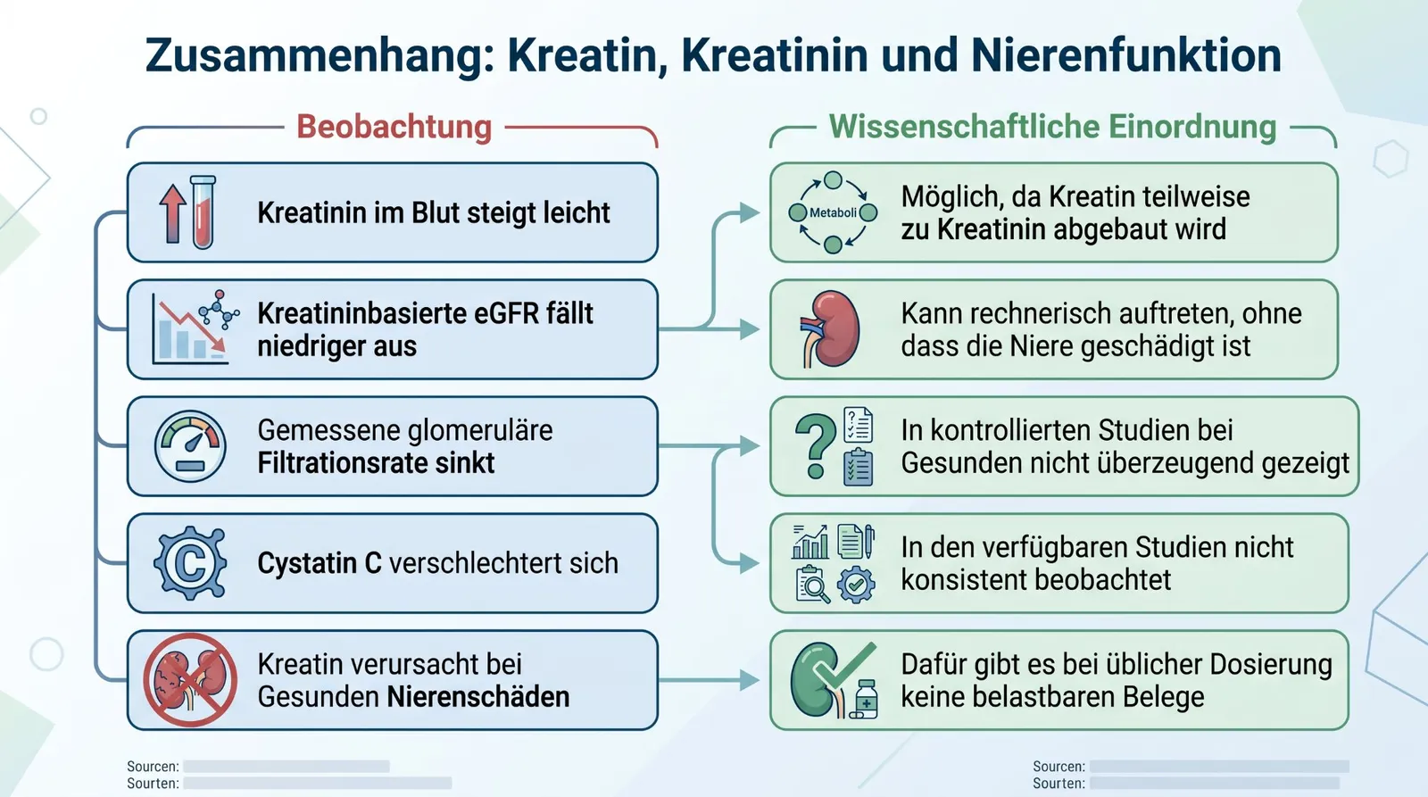 Abbildung 2 zum Artikel: Kreatin und Nierengesundheit: Ist die tägliche Einnahme schädlich?