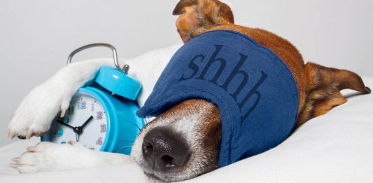 Schlechter Schlaf kann der Gesundheit schaden