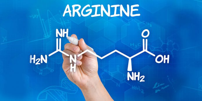 L-Arginin reduziert die Sauerstoffkosten des Trainings