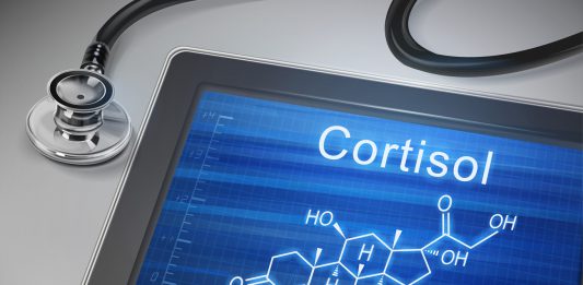 Was ist eigentlich Cortisol