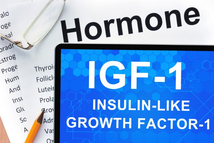 Diäten erhöht die IGF-1 Spiegel