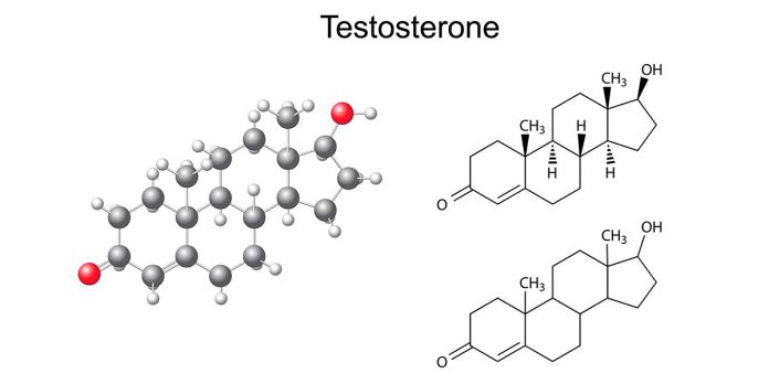 Niedrige Testosteronspiegel im Blut = weniger Kraft und Masse