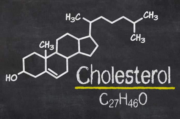 Soja reduziert den LDL Cholesterinspiegel nicht