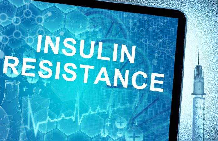 Die Weltepedemie der Insulinresistenz