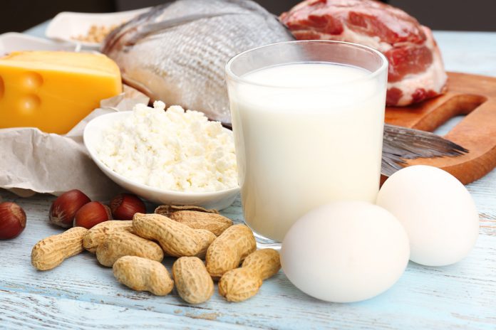 Proteinreiche Mahlzeiten schützen vor einem Verlust von Muskelmasse
