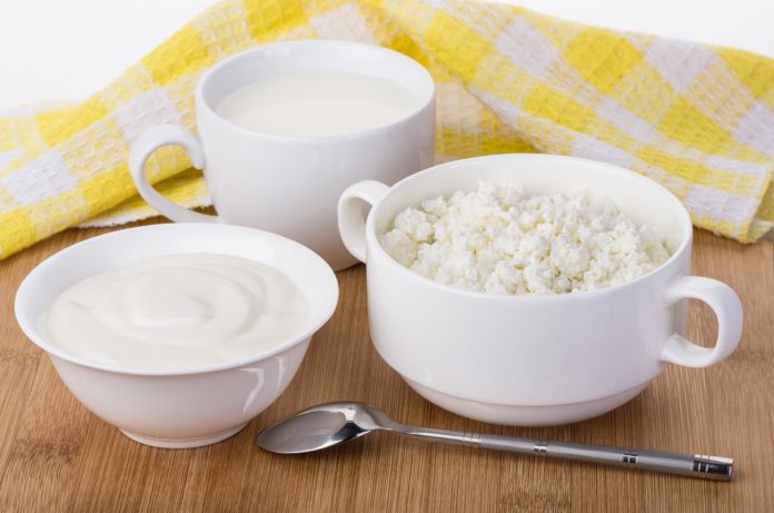 Fettarme Milchprodukte beschleunigen den Fettabbau