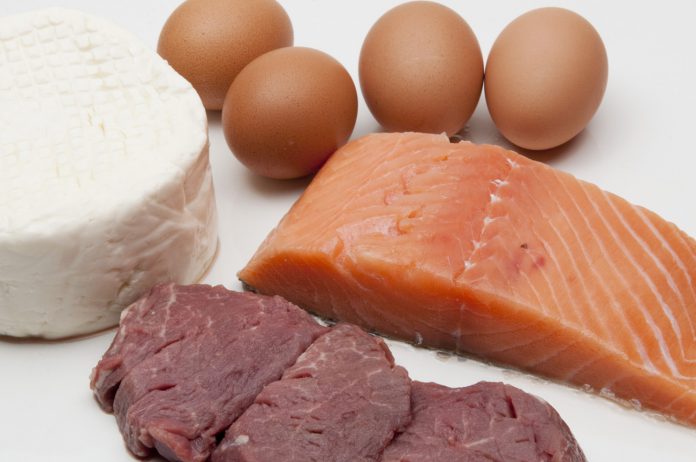Längerfristige proteinreiche Diäten fördern den Fettabbau