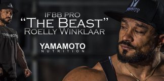 Roelly Winklaar bei Yamamoto Nutrition