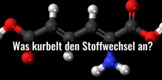 Sinnvolle Stoffwechseltricks, die dein Hungergefühl unterdrücken !