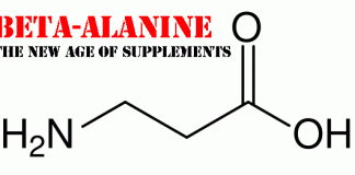 Antworten auf häufig gestellte Fragen zu Beta Alanin