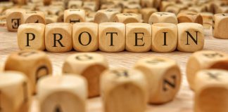 Die Bedeutung der Proteinbilanz für den Muskelaufbau
