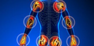 Wie Glucosamin die Gelenke schützt!