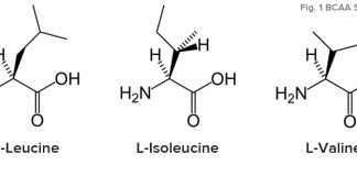 Warum ein Verhältnis von 2:1:1 bei BCAAs am besten ist!