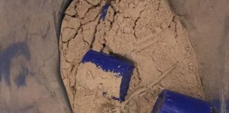 Tote Maus in Impact Whey von MyProtein gefunden?