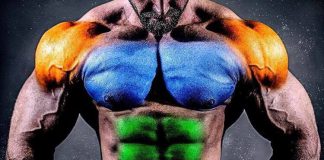 4er Split für ANFÄNGER – „The Classic Body“ erklärt die Grundlagen!