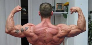 Maschinen vs Freie Gewichte – Was ist besser? – Matthias Botthof