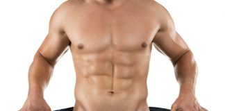 Wie Leptin verhindert, dass wir fett werden