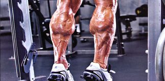 GOKOs nützliche Alltagstricks und das Geheimnis für dicke Waden!