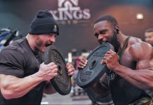 WIESO „Eisen fressen“ gegen Müdigkeit und Erschöpfung hilft!