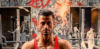 Natural vs. Stoffer: DAS solltest Du über die Proteinsynthese wissen!