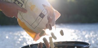 Maiskolben statt Briketts: Grillfleisch auf Kosten von Gemüse?