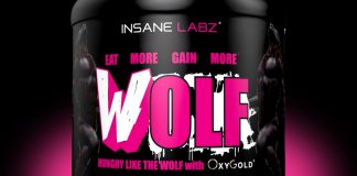 Hungrig wie ein WOLF – INSANE LABZ kündigt Massgainer an, der Appetit anregt!