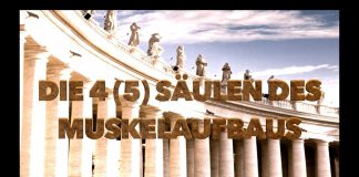 Matthias Botthof: DAS sind die 5 SÄULEN des MUSKELAUFBAUS!