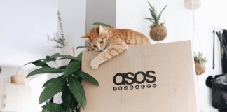 NUR für 24 Stunden: SO sparst Du 20% auf ALLES bei ASOS!! – auch auf SALE Artikel!