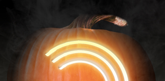 DAMIT bringt BULK POWDERS die Kürbiszeit auf das NÄCHSTE LEVEL!