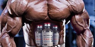 Die Entwicklung des Steroidmarkts: wie alles begann!