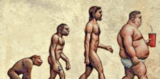 Die kalte, harte und nackte Wahrheit über Ernährung