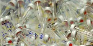 „Legalisiert“ England ab sofort Doping im Sport!?